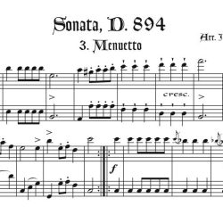 Schubert D. 894.3 Duet