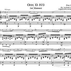 Adagio from Octet, D. 803