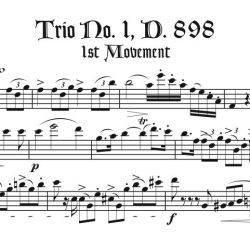 Schubert Trio 1st Mvt.