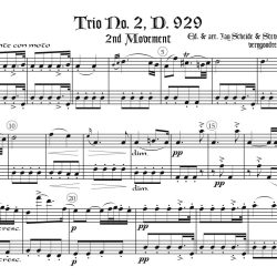 Schubert Trio #2 2nd mvt. duet