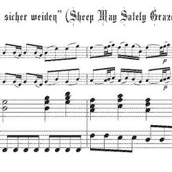 Aria, “Schafe können sicher weiden” (Sheep May Safely Graze) from Cantata 208, arr. for two soprano recorders & keyboard