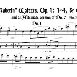 Solo recorder parts from the post-Schubert composer categories (not necessary if you get the versions with keyboard.)