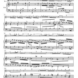Concerto No. 7, BWV 1058
