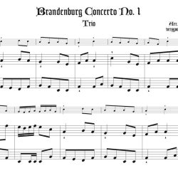 Trio from Brandenburg Concerto No. 1 BWV 1046 arr. for tenor or soprano recorder & keyboard