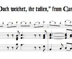 Aria “Doch weichet ihr tollen” from Cantata 8