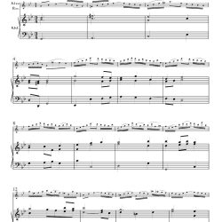 BWV 1008 complete
