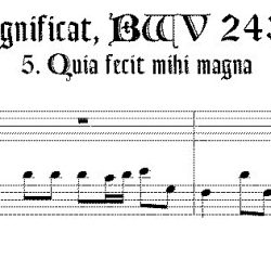 Aria, “Quia fecit mihi magna,” from the Magnificat, BWV 243A, for alto & bass recorders, or, for soprano & tenor
