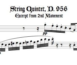 Excerpt from String Quintet, D. 956, 2nd mvmt., arr. for alto & bass recorders