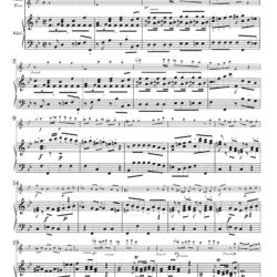 Concerto, Op. 3 No. 2, first mvt.