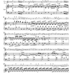Concerto, Op. 4, No. 2