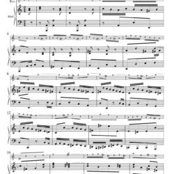 Concerto No. 7, BWV 1058, version for soprano recorder & kbd.