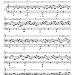 “Intermezzo,” 4th mvt. from <i>Faschingsschwank aus Wien</i>, Op. 26