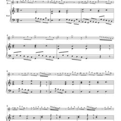 Sonata K. 103, L. 233, P. 233�