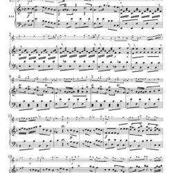 Aria, “Vo solcando un mar crudele,” from <i>Scelta d‘Arie</i>