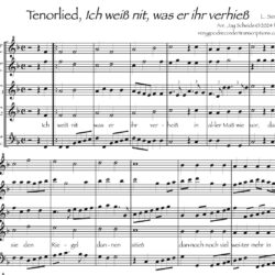 Tenorlied <i>Ich weiß nit, was er ihr verhieß</i>, for recorder quintet