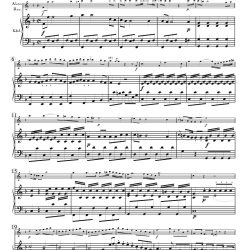 Concerto, Op. 12, No. 2