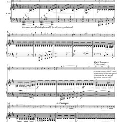 “Ich hab' ein glühend Messer” from <i>Lieder eines fahrenden Gesellen</i>