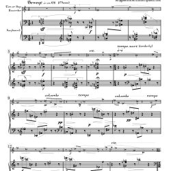 No. 2 & 3 from <i>3 Gesänge aus “Viae inviae”</i> Op. 23